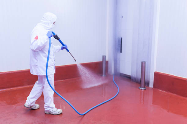 Best House Exterior Washing  in Garden City, MI